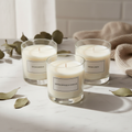 Scented Soy Candle Set